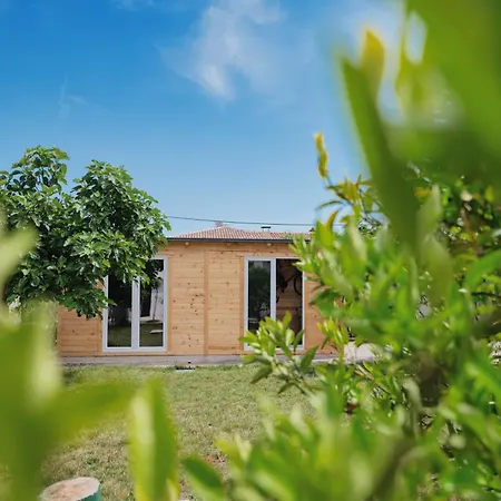 Oliveum Apartment Umag